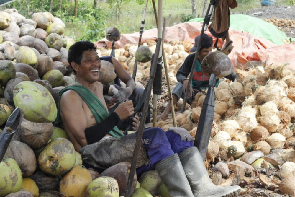 daging kelapa Bali